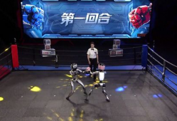 机器人格斗大赛视频,钢铁战士的巅峰对决