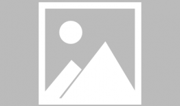 yellow视频网站,热门内容与用户互动全解析