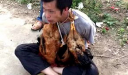 搞鸡视频,揭秘现代年轻人的趣味生活