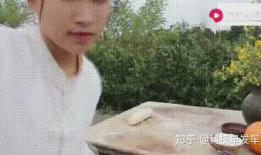 柳州莫箐视频,探寻柳州美食与文化的独特魅力