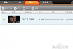 在线下载视频,在线视频内容快速概述