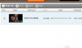 在线下载视频,在线视频内容快速概述