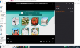 sp实践视频,探索高效学习与技能提升之道