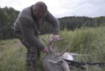 打猎视频,揭秘狩猎场上的惊心动魄瞬间
